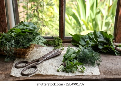 Different Herbs And Rusty Scissors On Window Sill Indoors