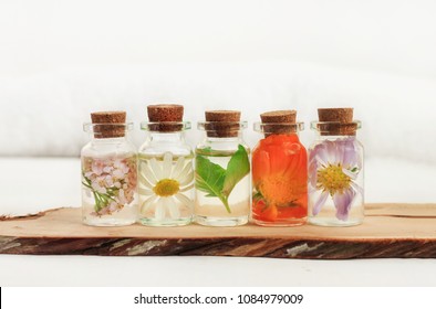 Different holistic herbs in oil bottles in a row on a wooden plank, light background. Chamomile, calendula, basil herbal aroma therapy. 