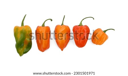 Different hot chili peppers on white background, flat lay