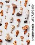 Different inedible wild mushrooms on white as trend minimal pattern. Aesthetic top view photo, autumn season still life of forest toadstools, fungus, vivid earth tones, wild foods, natural beauty.