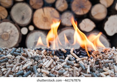 Different kind of wooden pellets ina flames