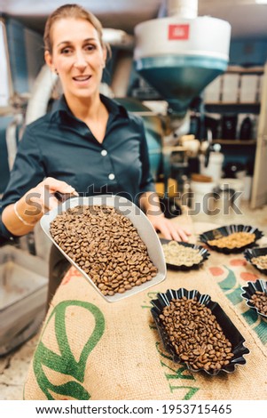 Different kinds of coffee beans in the roastery