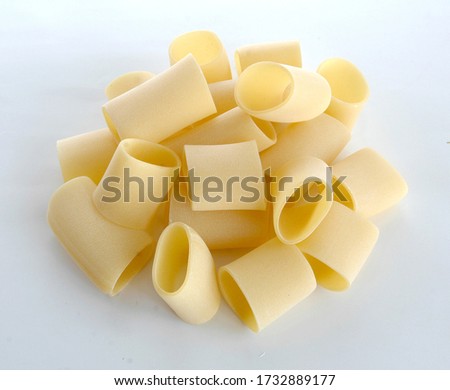 different kinds of typical italian pasta from Gragnano in Campania region called calamarata isolated on the white background