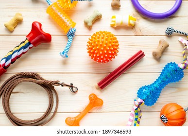 Different multicolored pet care accessories: ring, bones, leash, collar, balls on wooden background. Rubber and textile accessories for dogs. Top view, flat lay. 