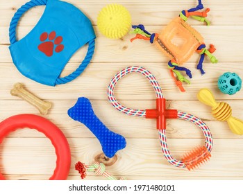 Different multicolored pet care accessories: ring, bones, balls on natural wooden background. Rubber and textile accessories for dogs. Top view, flat lay. Copy space