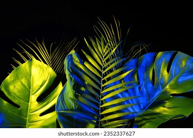 Different neon tropical leaves on black background - Powered by Shutterstock