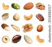 Different nuts on white background, collection. Pecan, walnut, pistachio, brazil nut, hazelnut, almond and cashew