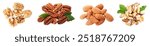 Different nuts on white background, collection. Pecan, walnut, almond and brazil nut