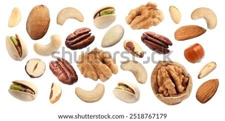 Different nuts on white background, collection. Pecan, walnut, pistachio, peanut, hazelnut, almond, brazil nut and cashew