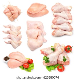 Different Parts Of Raw Chicken On White Background