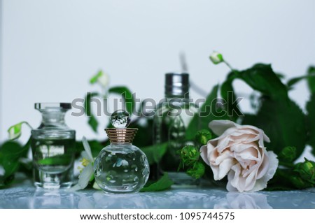 Similar – Image, Stock Photo Green cosmetics bottle with flowers and spa accessories