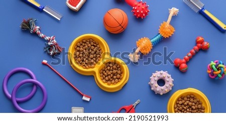 Different pet accessories and food on blue background, top view