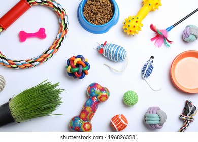 Different Pet Toys And Feeding Bowls On White Background, Top View