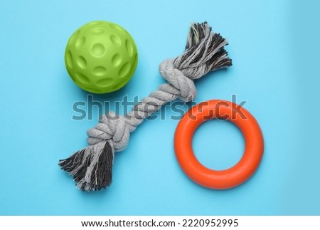 Different pet toys on light blue background, flat lay