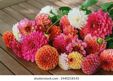 Different pink, orange and white Dahlia flowers. Colorful dahlia garden flowers, wallpaper backdrop. Blossoming dalias bloom - Powered by Shutterstock