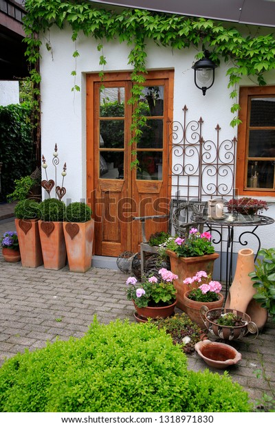 Different Plants Decoration Front House Stock Photo Edit Now