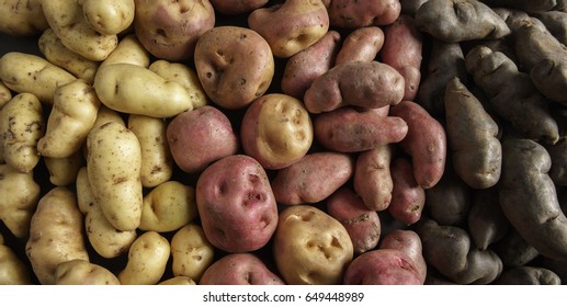 Different Potatoes Varieties Showing Different Colors Stock Photo (Edit ...