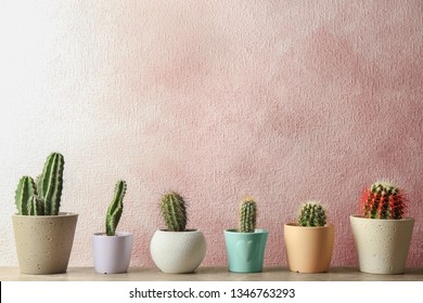362,190 Cacti Images, Stock Photos & Vectors | Shutterstock