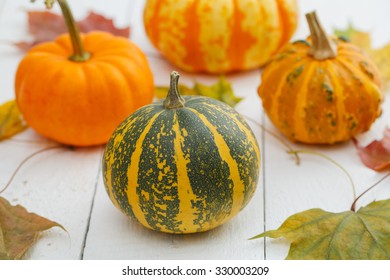 Different pumpkins and maple leaves on wooden table.