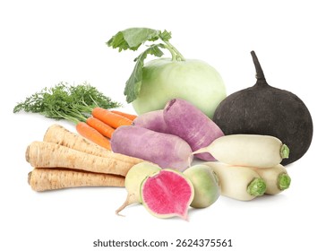 Different root vegetables isolated on white. Turnips, carrots, kohlrabi, daikon radishes, parsley roots