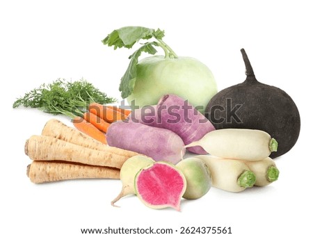 Different root vegetables isolated on white. Turnips, carrots, kohlrabi, daikon radishes, parsley roots