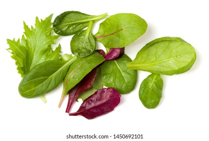 Different Salad Leaves Handful Isolated On White Background. Top View, Flat Lay.