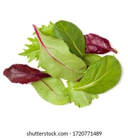 Different Salad Leaves Handful Isolated Over White Background. Top View, Flat Lay.