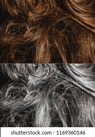 Different Samples - Premature Greying Of Hair, Aging, Coloring Or Special Recovery Treatment