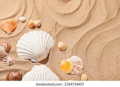 Different seashells on sand as background. World Oceans Day concept