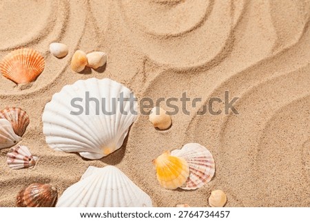 Different seashells on sand as background. World Oceans Day concept