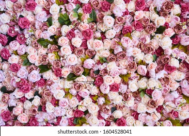 Different shades of pink and red color background of roses. floral pattern. - Powered by Shutterstock