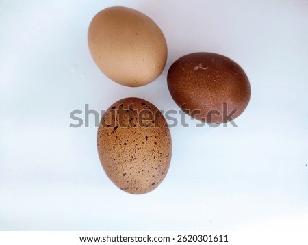 Different size and colored of chicken eggs on white background. Light brown, dark brown and brown spackled colored.