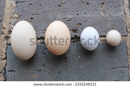 Different sized eggs from free range flock