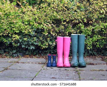Different sized wellington boots lined up against hedge. Family concept.          