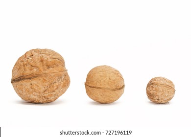 Different sizes walnuts
