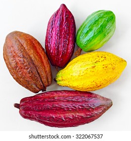 different sorts of colorful cocoa pods on white