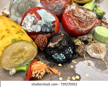 Different sorts of rotten fruits and vegetables on gray paper 