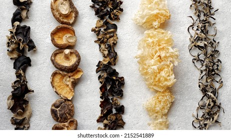 Different species of Asian dry fungi in lines. Assortment of dried mushrooms. 