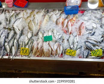 Different Spices Of Fresh Fish On Ice Sold In The Local Open Thai Market. Fishery Industry Or Asian Fish Market Background, Top View