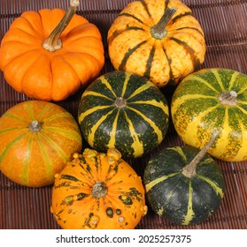 Set Squash Different Colors On White Stock Photo 1832669509 | Shutterstock