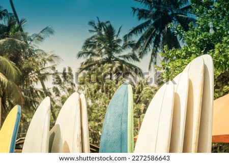 Different surf boards in stack for rent by ocean on sandy Hiriketiya Beach near Dickwella in Sri Lanka. Outdoors. Sunny days. Surf boards for beginner and advanced.