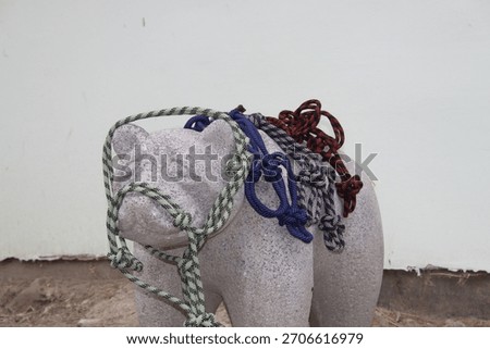 Different tacking accessoires for horses 
