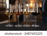 Different tasty wines in glasses on black table indoors, selective focus