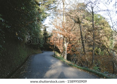 Similar – Image, Stock Photo Forest road landscape with couple riding motorbike