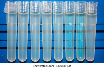 Different Turbidity Of Bacteria Growing In Tubes