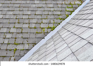 Different two parts of grey bitumen asphalt shingles roof one part overgrown with green moss other clean.
