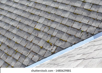 Different two parts of grey bitumen asphalt shingles roof one part overgrown with green moss other clean.
