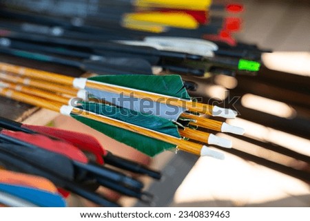Different type of arrow feathers at the archery