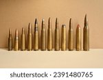different type of bullets isolated over a neutral background