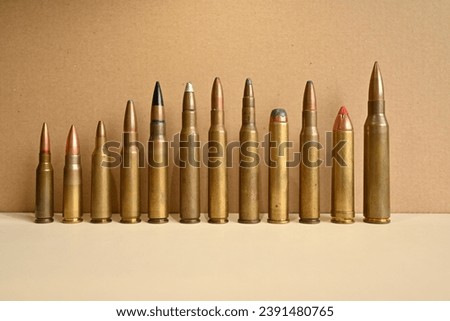 different type of bullets isolated over a neutral background